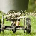 Professional Shrub Fertilization Company In Edgartown For Healthy, Thriving Plants