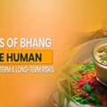 Effects Of Bhang | Know The Health Impact