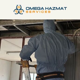 Sydney, Business, Asbestos Removal Hornsby: Safe & Licensed Services For Homes And Businesses