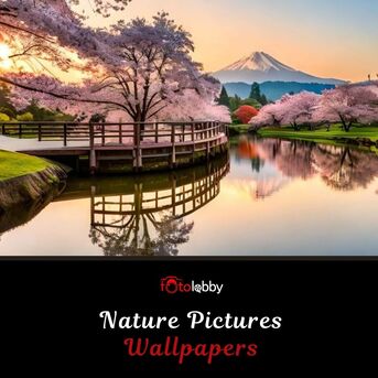 Gurgaon, Photography, Nature Pictures Wallpapers