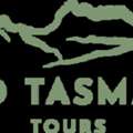 Experience Wildlife Hiking Wilderness Nature Tour Tasmania