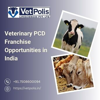 Chandigarh, Health, Choose Vetpolis &ndash; Top Veterinary PCD Company In India