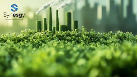 Dubai, Business, ESG Reporting Services In UAE For Compliance & Investor Trust