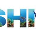 Local Fishing Charters