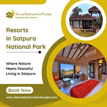 Bhopal, Travel, Resorts In Satpura National Park For Comfortable Nature Stay