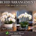 Luxury Orchid Arrangements In NYC