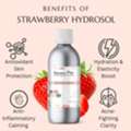 INR 199,  Order Strawberry Hydrosol Online For Cosmetic & Beauty Products | Raasa Oils