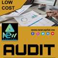 Audit Consultant