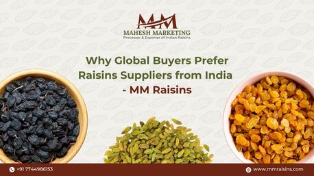 Mumbai, Food, Premium Raisins Supplier & Bulk Exporter From India &ndash; MM Raisins