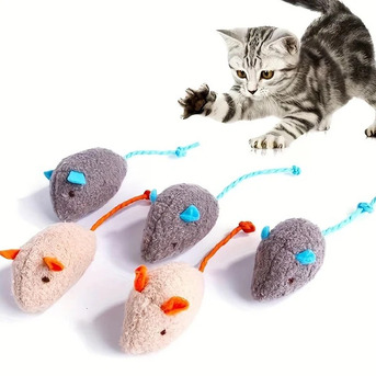 San Francisco, Pet Sitting, Fun Interactive Cat Toys And Mouse Games For Active Happy Cats