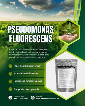 Toronto, Farm & Garden, CAD 55,  Control Soil Borne Diseases With Pseudomonas Fluorescens &ndash; Buy Now