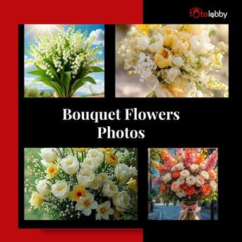 Gurgaon, Photography, Bouquet Flowers Photos