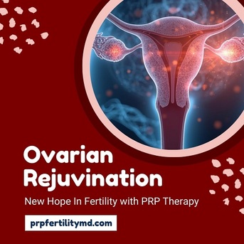 Houston, Health, Ovarian Rejuvenation With PRP &ndash; Boost Fertility Naturally