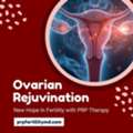 Ovarian Rejuvenation With PRP &ndash; Boost Fertility Naturally