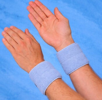 Tbilisi, Business, Ice Blankets For Effective Horse Cooling