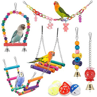 San Francisco, Pet Sitting, Interactive Bird Cat Toys For Endless Fun And Active Playtime