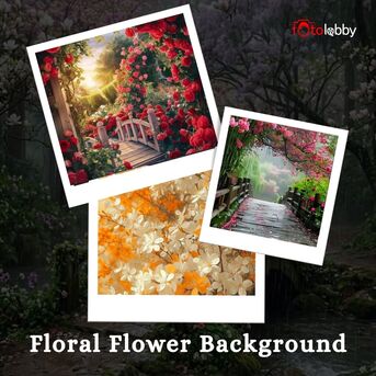 Gurgaon, Photography, Floral Flower Background