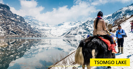 Kolkata, Travel, Sikkim Darjeeling Package Tour From Mumbai