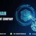 The World Is Making Money With Blockchain Development &mdash;Why Not You?