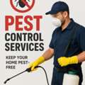 ✅✅✅ INSECT PROBLEM DAMMAM FAST PEST CONTROL SERVICE ✅ CALL 0570076842 ✅