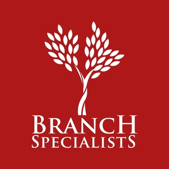 New York, Construction, Emergency Tree Service In Buffalo, NY: Why You Need Branch Specialists