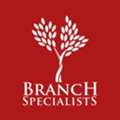 Emergency Tree Service In Buffalo, NY: Why You Need Branch Specialists