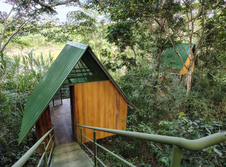 New York, Travel, Best Tambopata National Reserve Packages | Explore Amazon Wildlife