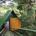 Best Tambopata National Reserve Packages | Explore Amazon Wildlife