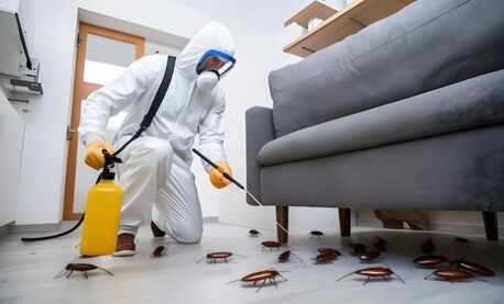 Al Jawhara, Pest Control, ✅✅✅ RESTAURANT & OFFICE PEST CONTROL KHOBAR URGENT ✅ CALL 0570076842 ✅