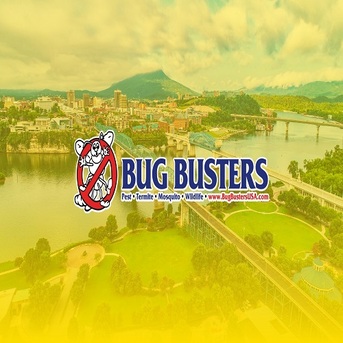 New York, Pest Control, Bug Busters, Inc.
