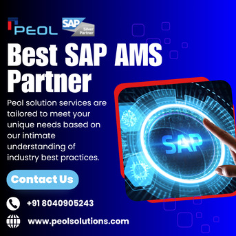 Bangalore, Computer, SAP AMS Partner In Bangalore