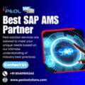 SAP AMS Partner In Bangalore