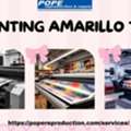 Bring Your Business's Vision To Life Through The Best Printing In Amarillo Tx