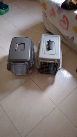 Riyadh, Pet Supplies, SAR 55,  Cat Carrier For Sale