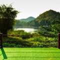 Artificial Turf San Diego Premium Lawn Installation Best Now