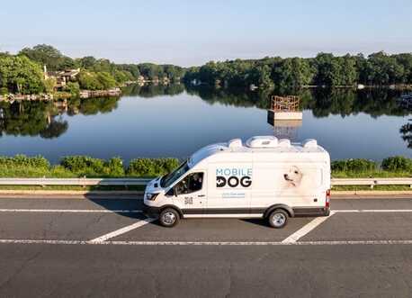 New York, Business, Mobile Dog Grooming