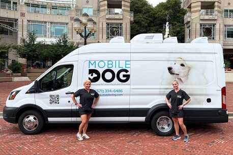 New York, Business, Mobile Dog Grooming