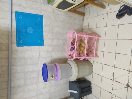 Khobar, Rooms for Rent, SAR 750/month,  Furnished,  Iam Offering 1 Furnished Bedroom For Rent In Flat