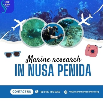 Bali, Training, Marine Research In Nusa Penida