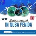 Marine Research In Nusa Penida