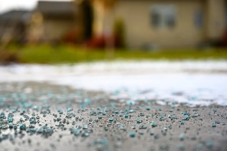 New York, Business, Lawn Care Woburn LLC