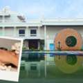 Best Staycation Near Chennai