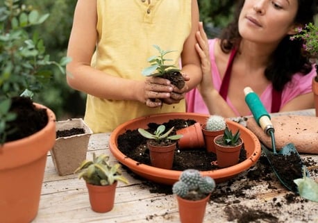 Jaipur, Farm/Garden, Home Gardening Tips For Beginners | Easy Guide To Start Gardening