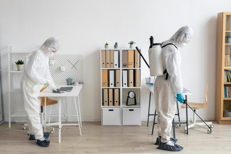 Toronto, Pest Control, Affordable & Reliable Pest Control In Red Deer &ndash; Buzz Boss