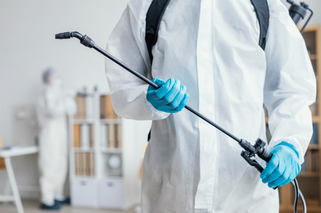 Toronto, Pest Control, Affordable & Reliable Pest Control In Red Deer &ndash; Buzz Boss