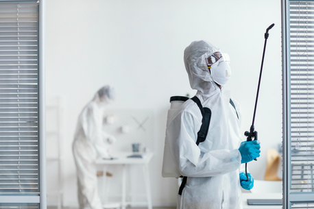 Toronto, Pest Control, Affordable & Reliable Pest Control In Red Deer &ndash; Buzz Boss
