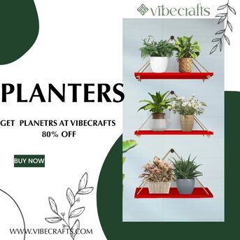 Noida, Household Items, INR 2600,  Planters &ndash; Stylish Green D&eacute;cor By Vibecrafts