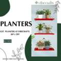 INR 2600,  Planters &ndash; Stylish Green D&eacute;cor By Vibecrafts