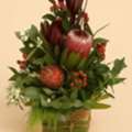 AUD 80,  Pimpama Florist For Fresh Flowers And Same-Day Delivery