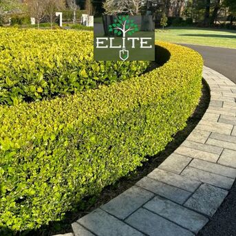 Sydney, Business, Acreage Mowing Hawkesbury | Reliable Large Property Mowing Services